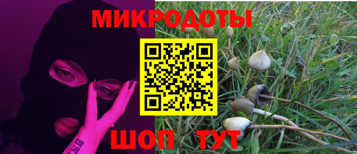 Галлюциногенные грибы прущие грибы Славянск-на-Кубани