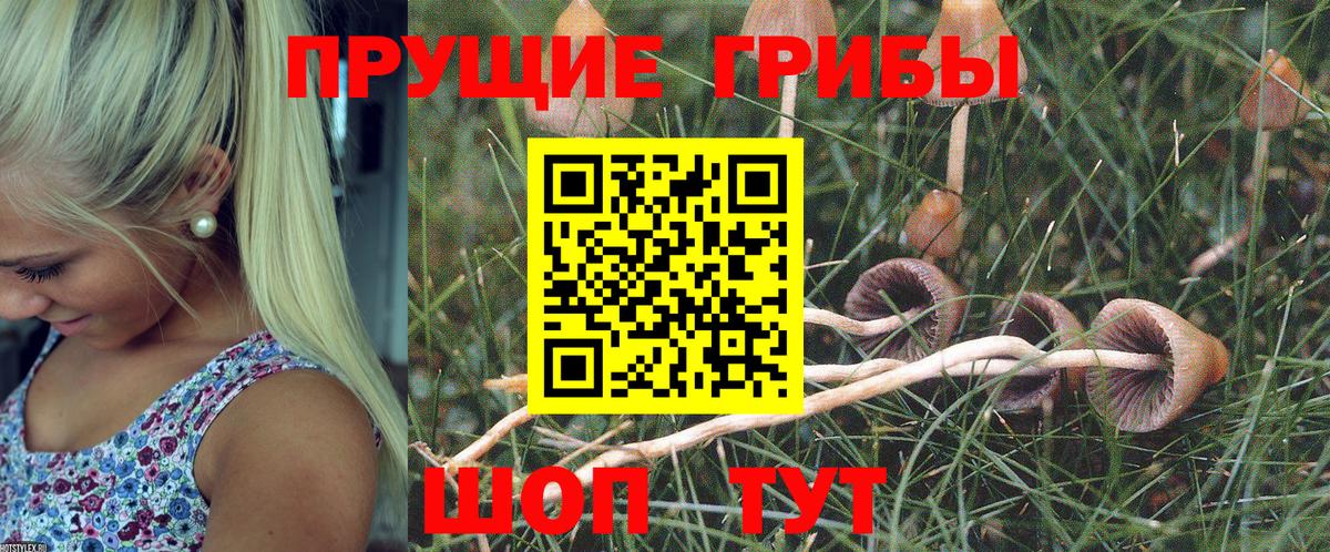 Славянск-на-Кубани  Псилоцибиновые грибы ЛСД  Вход с VPN 
